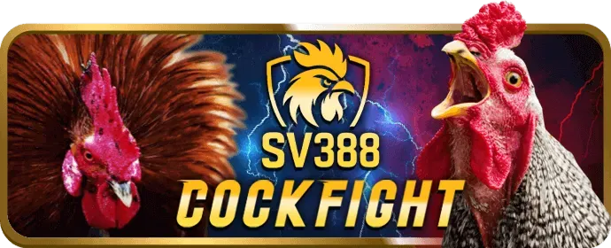 Đá Gà